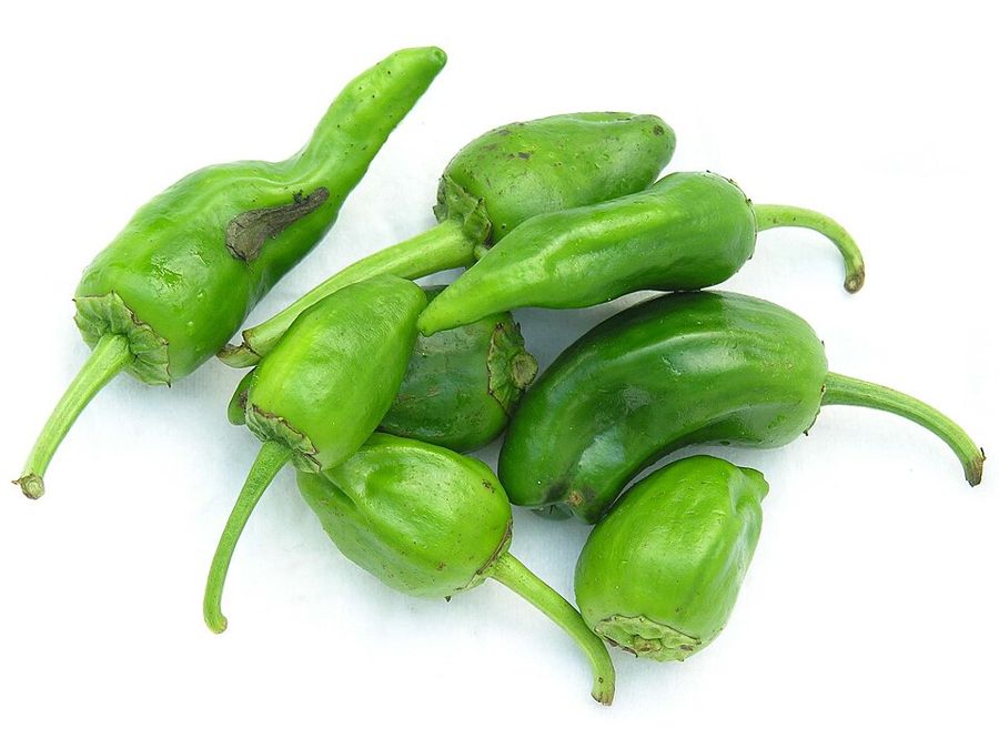 Padron Peppers